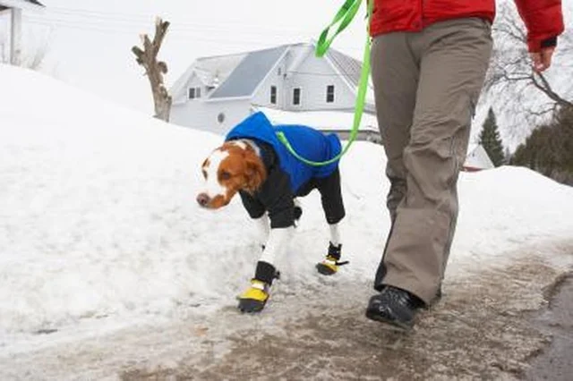 DIY Dog Traction Boots